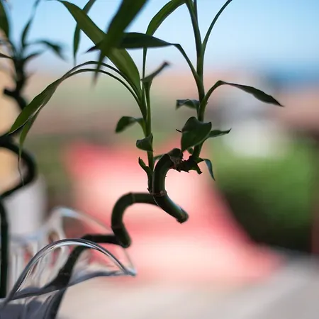 Relax Al Porto - 180 Degrees Of Exciting Garda Views Moniga del Garda