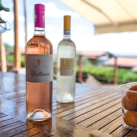 Relax Al Porto - 180 Degrees Of Exciting Garda Views וילה Moniga del Garda
